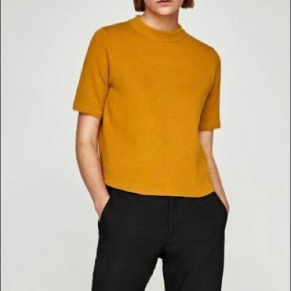 Zara Mock Neck Knit